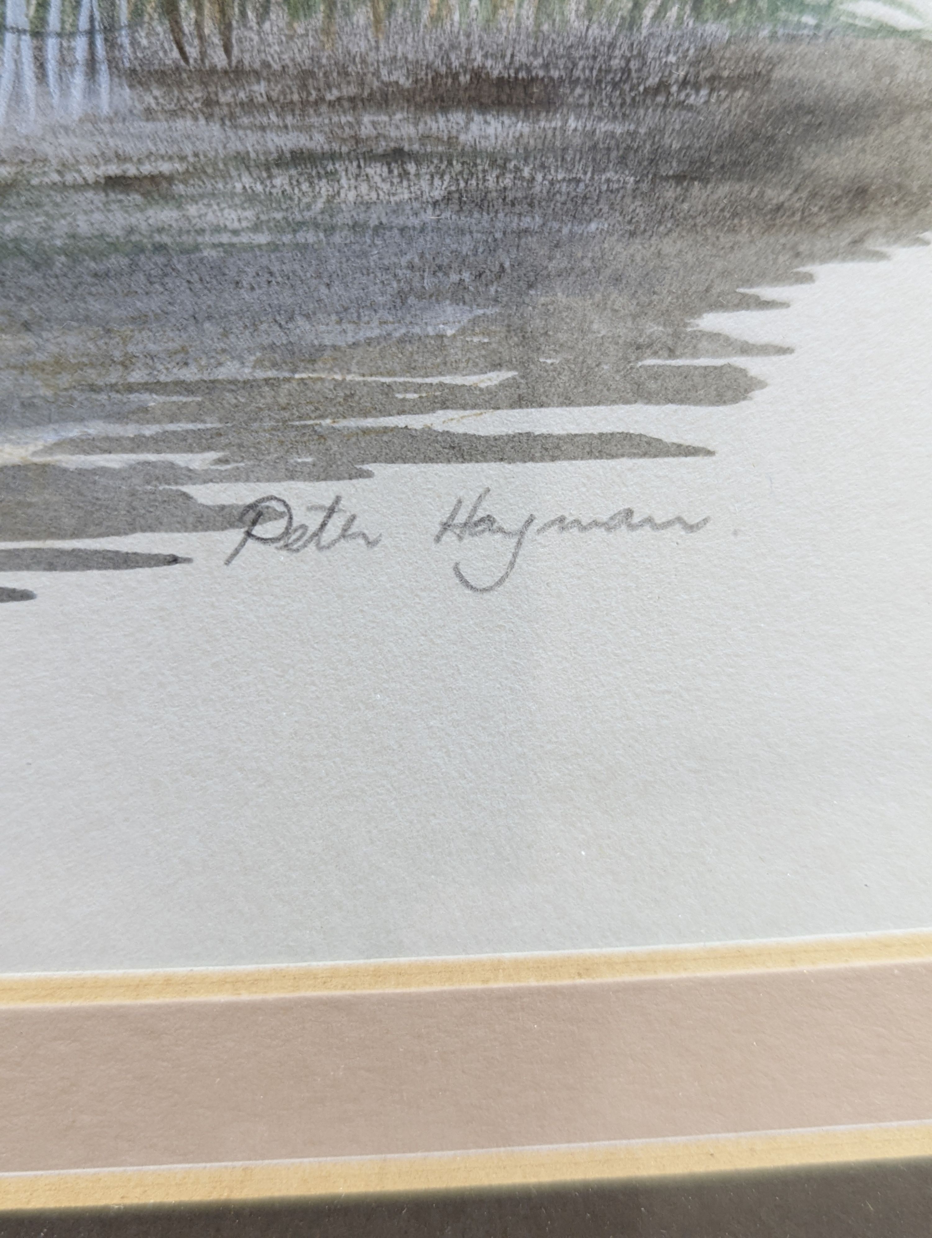 Peter Hayman (1930-), watercolour, Kingfisher beside a river, signed, 29 x 38cm